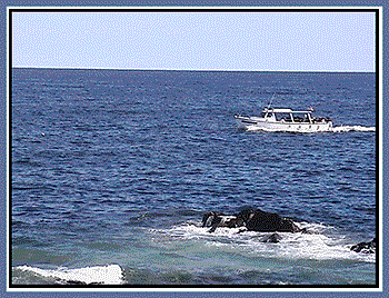 Viewing the Atlantic Ocean from the Marginal Way © Page Makers, LLC